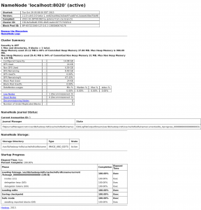 Hadoop NameNode localhost-8020